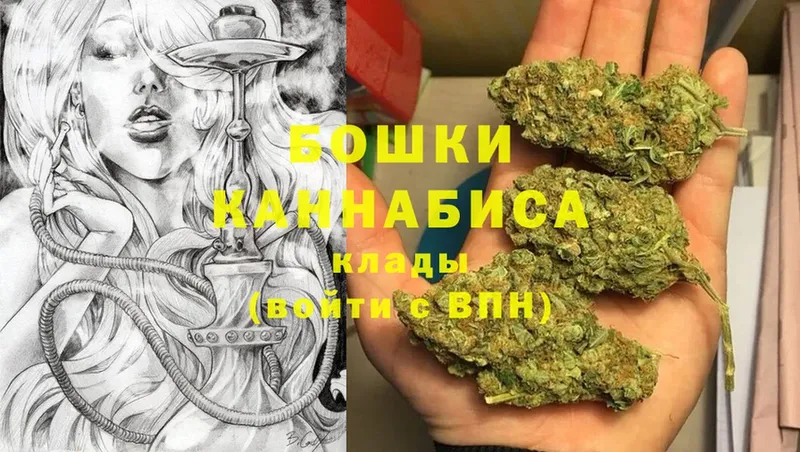 магазин продажи   Куртамыш  Конопля SATIVA & INDICA 